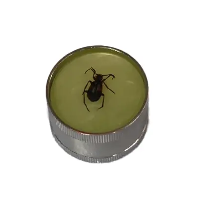 rollinbd.com-Product-Collection-3 Parts Metal Grinder with Scorpion Design, 52mm